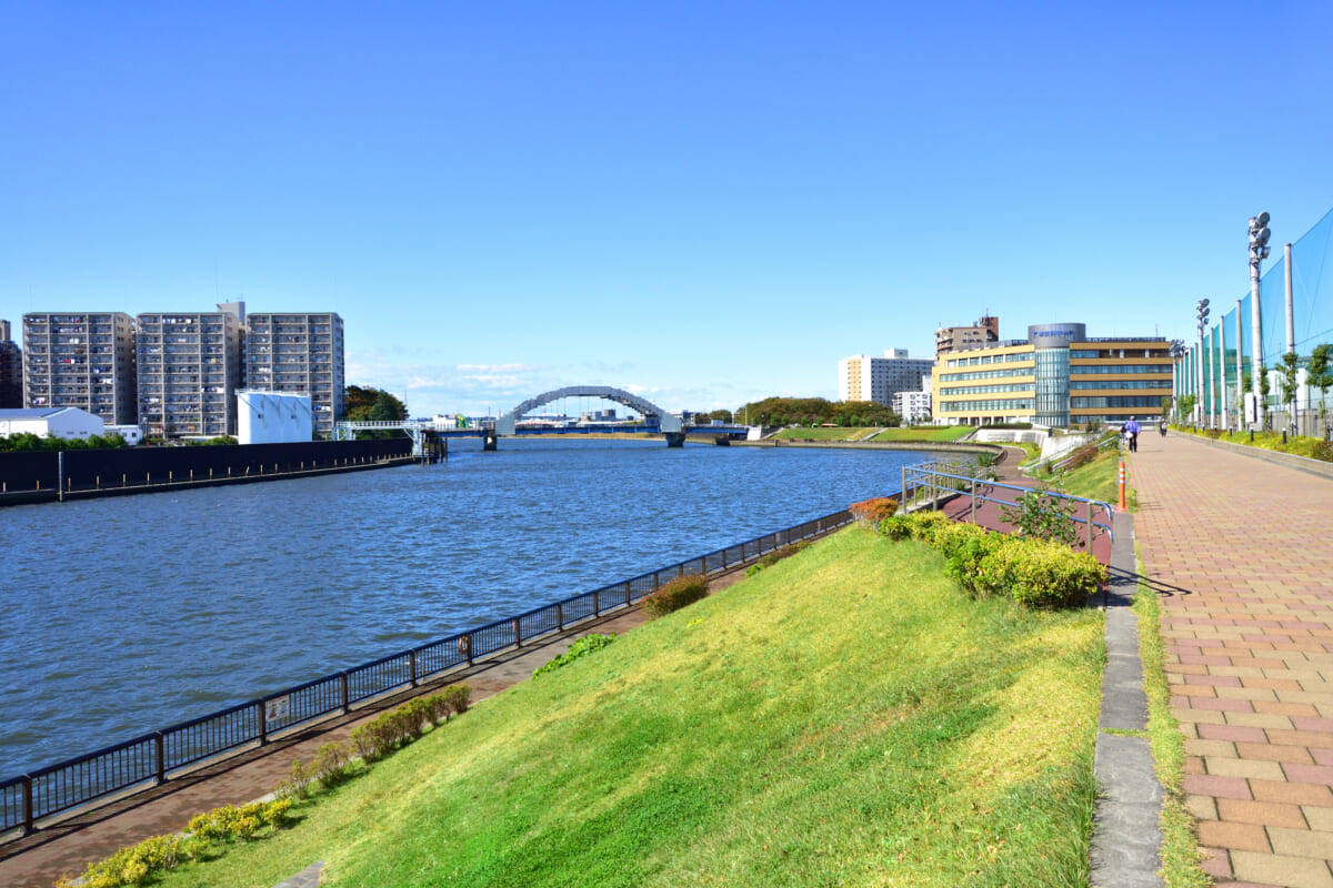 隅田川・荒川河川敷