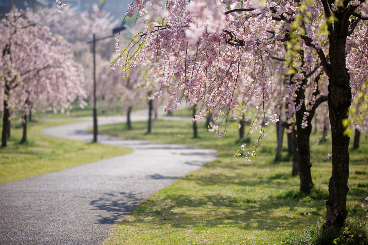 尾久の原公園