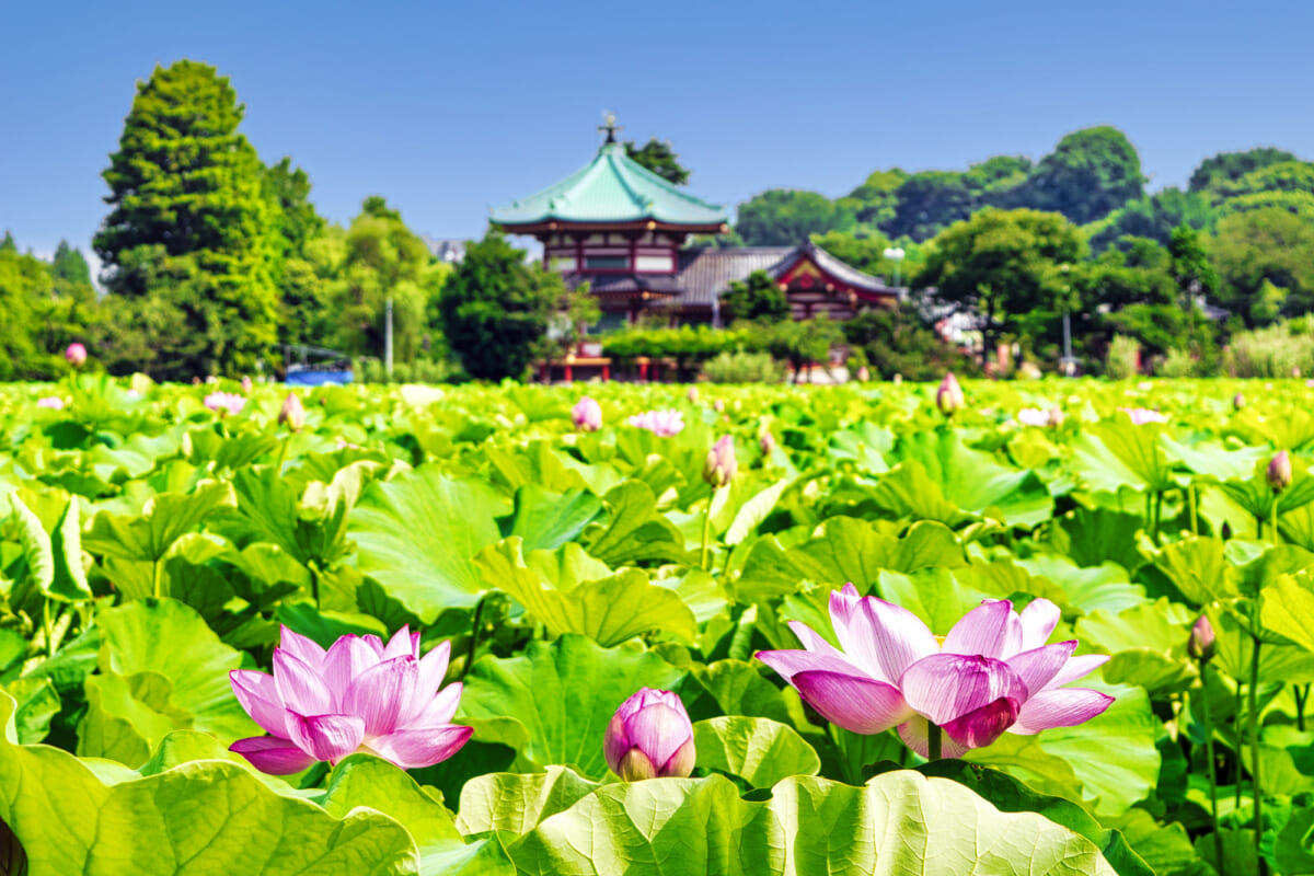 上野恩賜公園